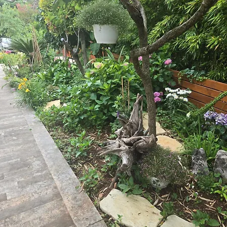 Flora